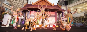 Thai Traditional Medicine Expo slider 2